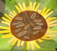 Бумажки: Бумажное солнце